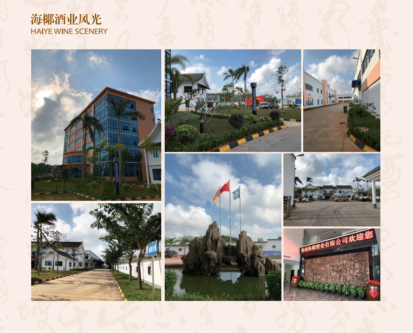 海椰酒业风光1.jpg 海椰酒业风光1.jpg