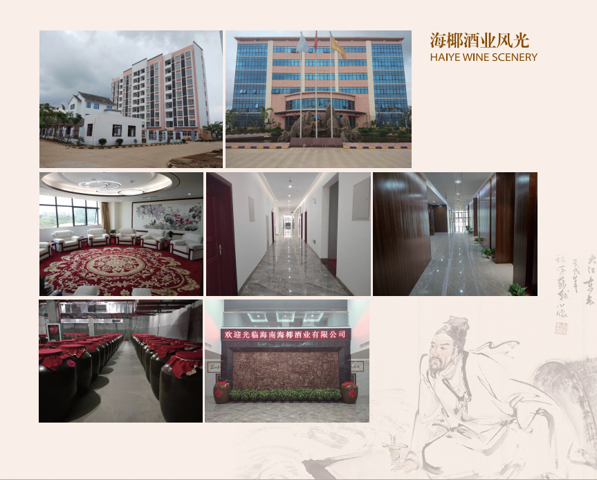 海椰酒业风光2.jpg 海椰酒业风光2.jpg